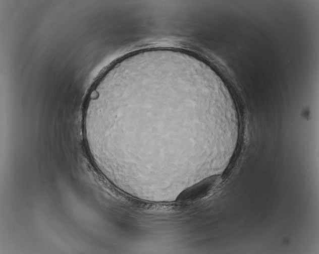 X0000114591174200911301352