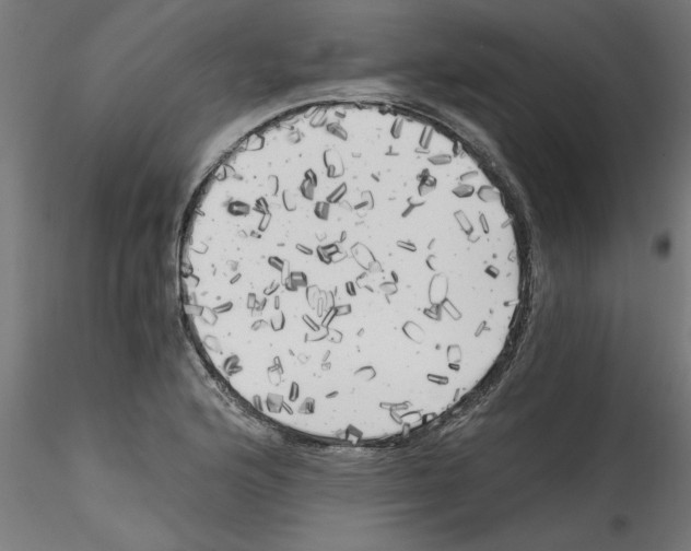 X0000114591176200911301352