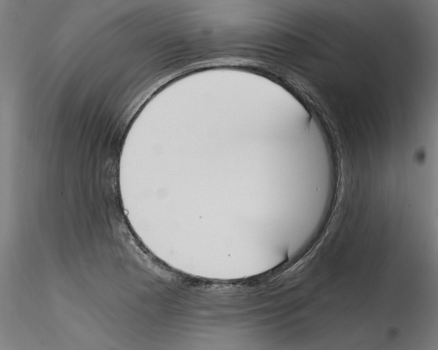 X0000114591177200911301352