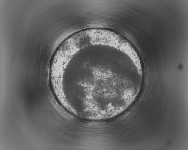 X0000114591179200911301352