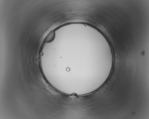 X0000114591181200911301352