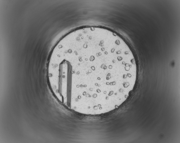 X0000114591183200911301352