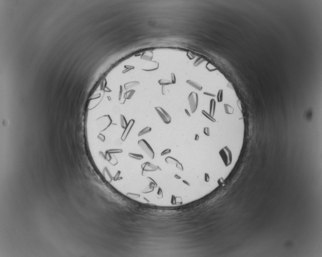 X0000114591184200911301352
