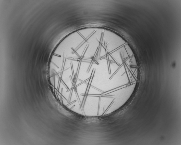 X0000114591186200911301352