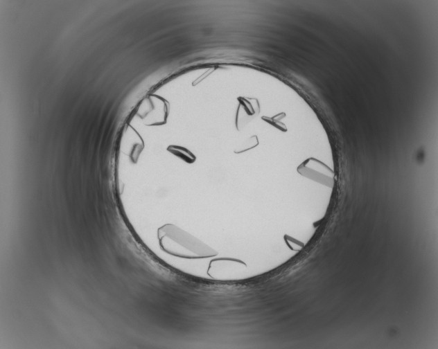 X0000114591188200911301352
