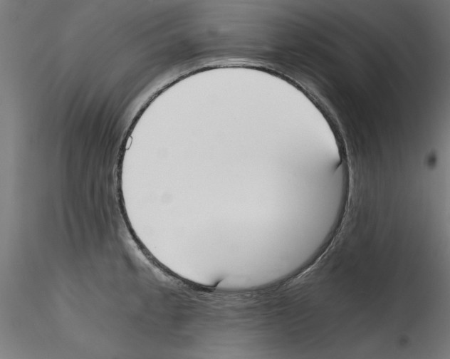 X0000114591189200911301352