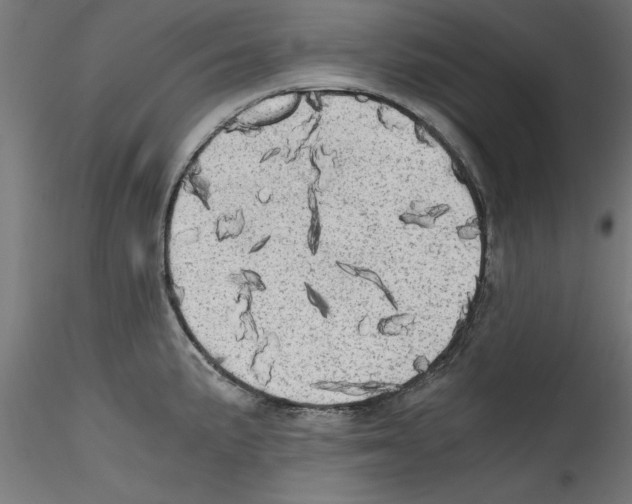X0000114591191200911301352