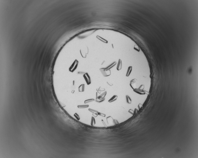 X0000114591192200911301352