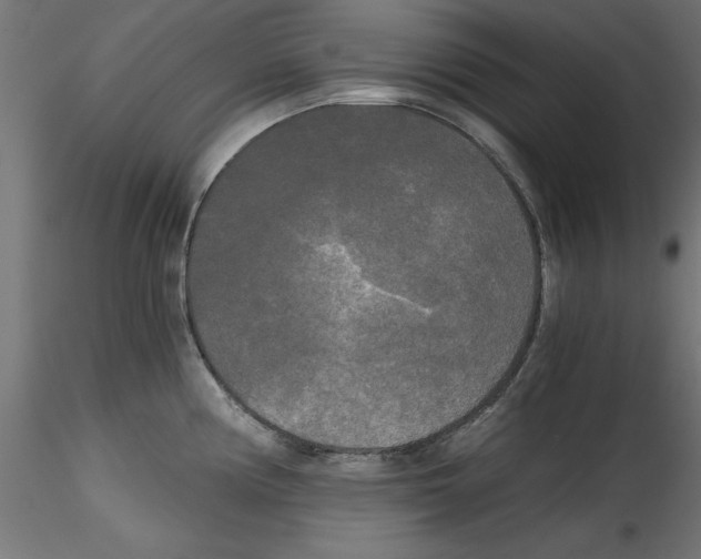 X0000114591194200911301352