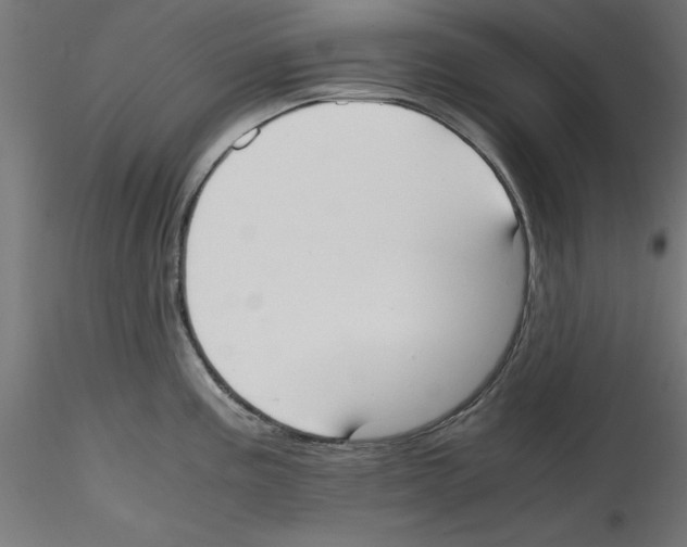 X0000114591195200911301352