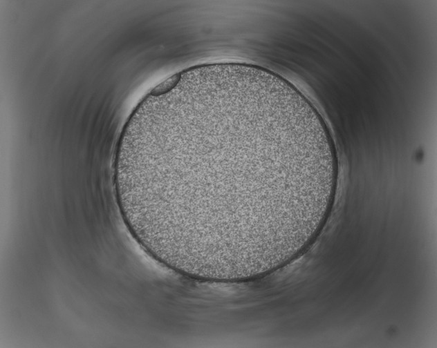 X0000114591197200911301352