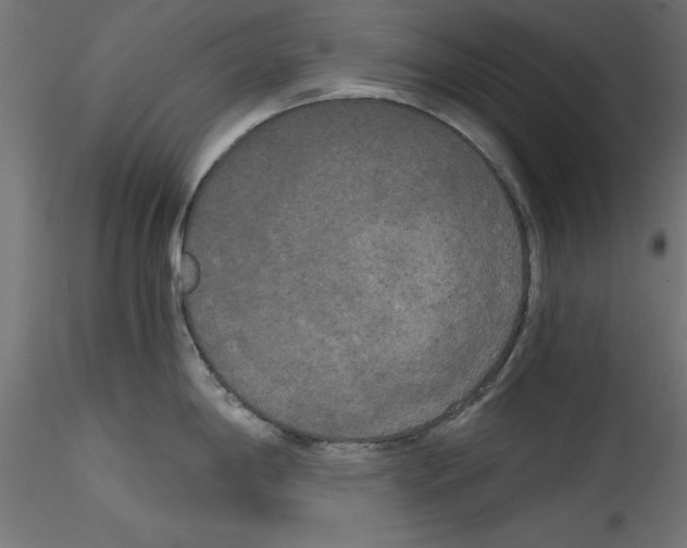 X0000114591198200911301352