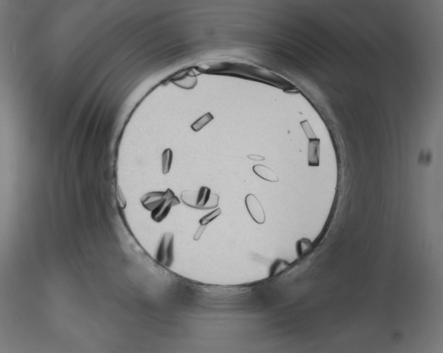 X0000114591200200911301352