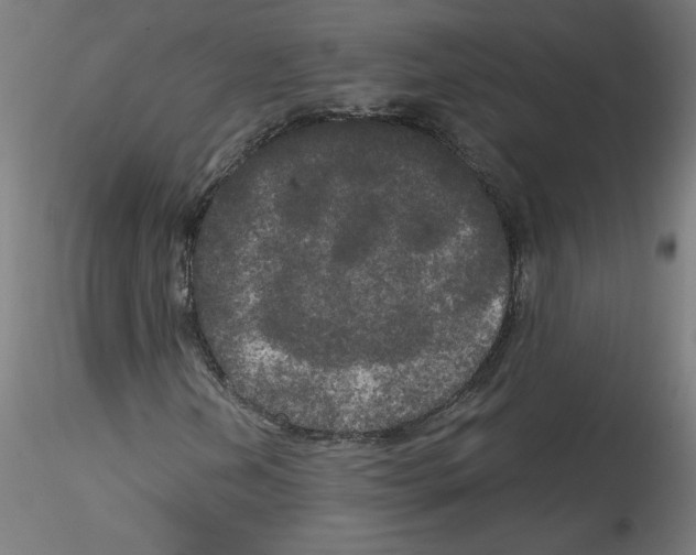 X0000114591202200911301351