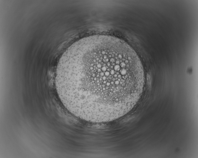 X0000114591203200911301351