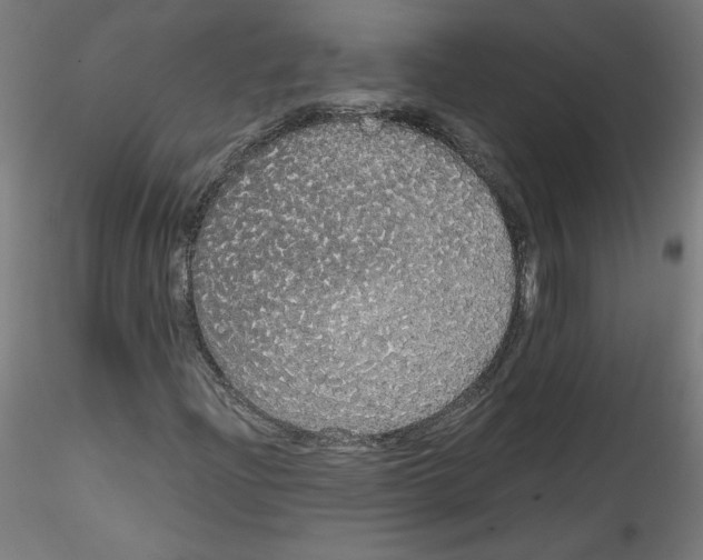 X0000114591204200911301351