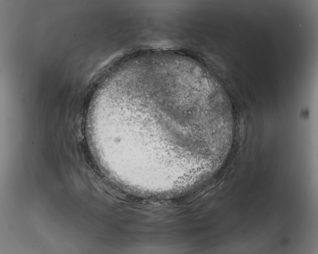 X0000114591205200911301351