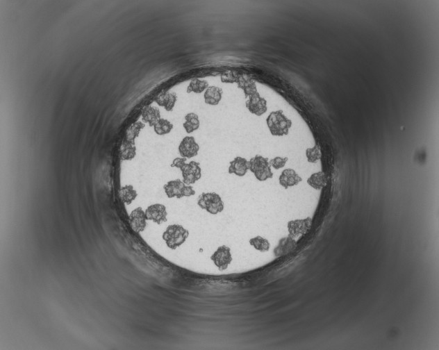 X0000114591209200911301351