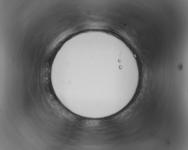 X0000114591211200911301351