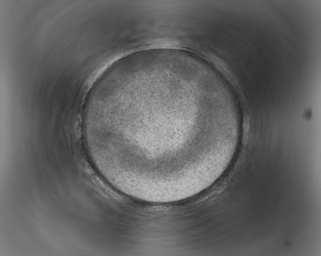 X0000114591212200911301351