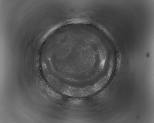X0000114591213200911301351
