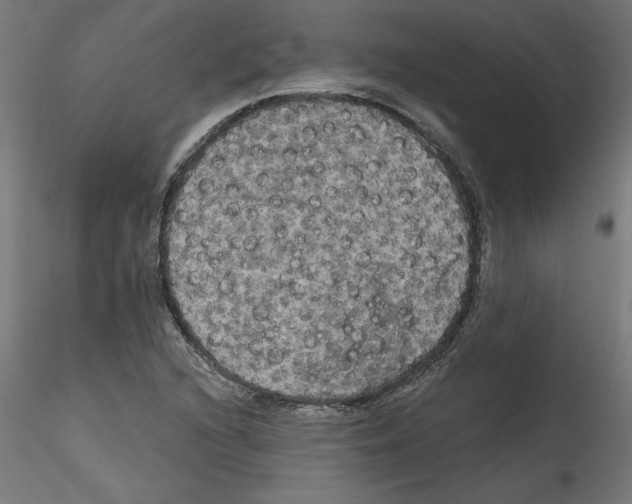 X0000114591216200911301351