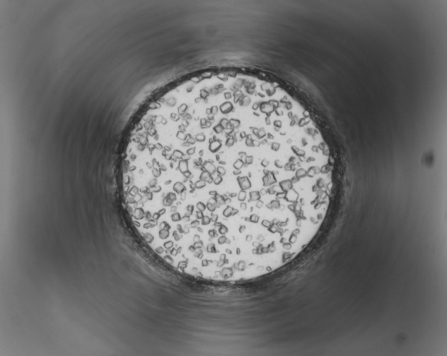 X0000114591218200911301351