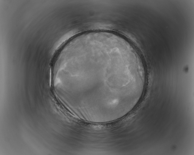 X0000114591219200911301351