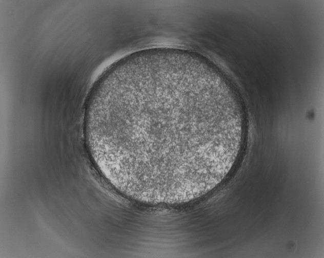 X0000114591222200911301351