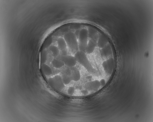 X0000114591223200911301351