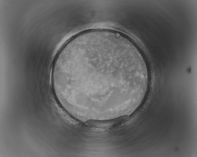X0000114591224200911301351