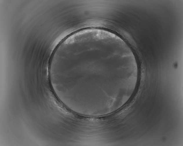 X0000114591226200911301352