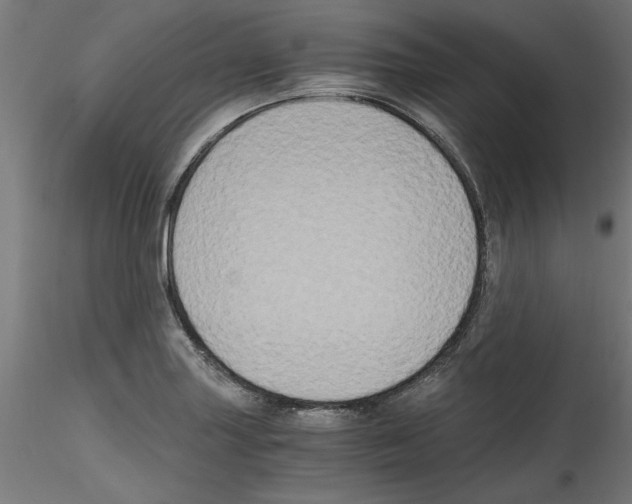 X0000114591227200911301352