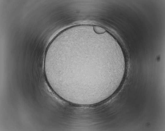 X0000114591228200911301352