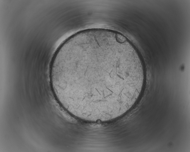 X0000114591230200911301352