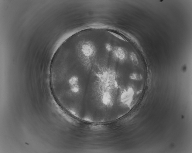 X0000114591231200911301352
