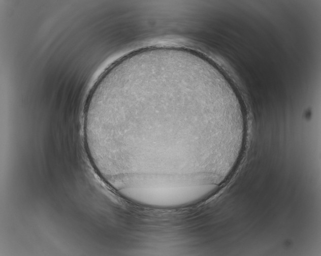 X0000114591232200911301352