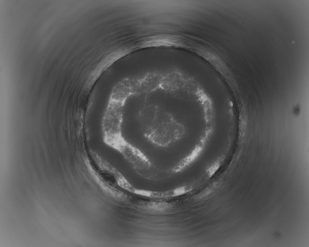 X0000114591233200911301352
