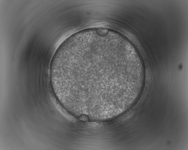 X0000114591234200911301352