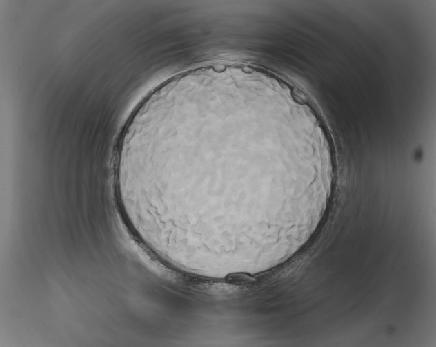 X0000114591235200911301352