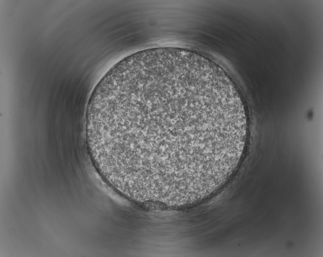 X0000114591236200911301352