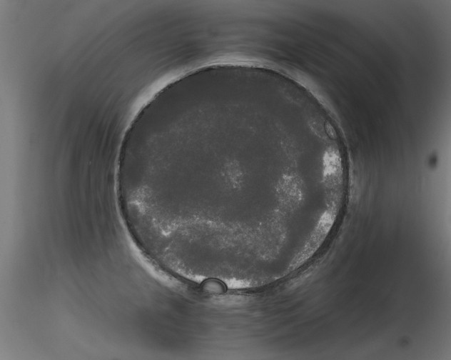 X0000114591237200911301352