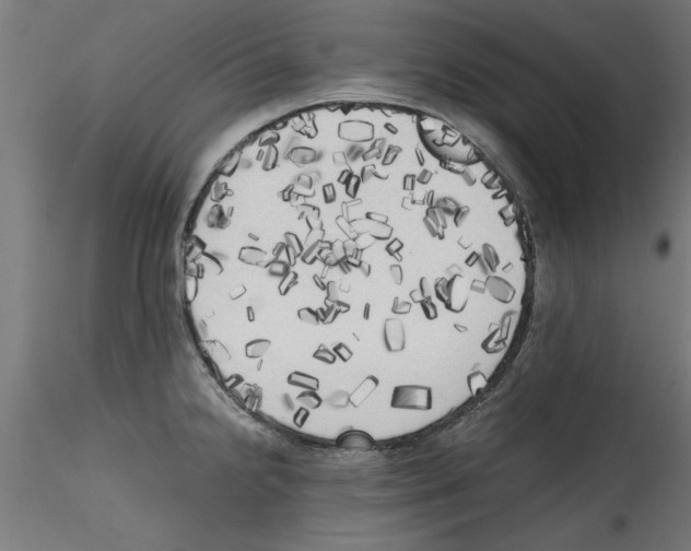 X0000114591238200911301352