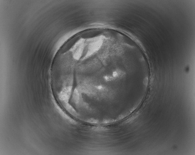X0000114591239200911301352