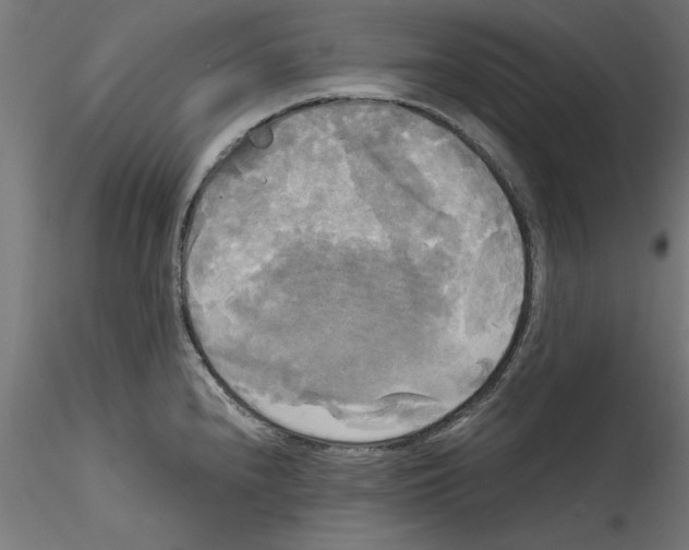 X0000114591240200911301352