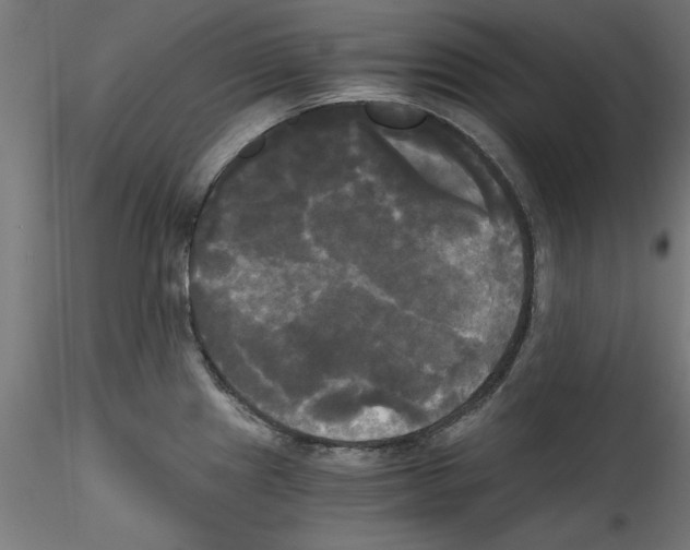 X0000114591241200911301352