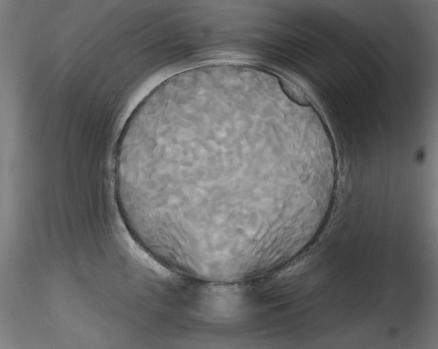 X0000114591243200911301352