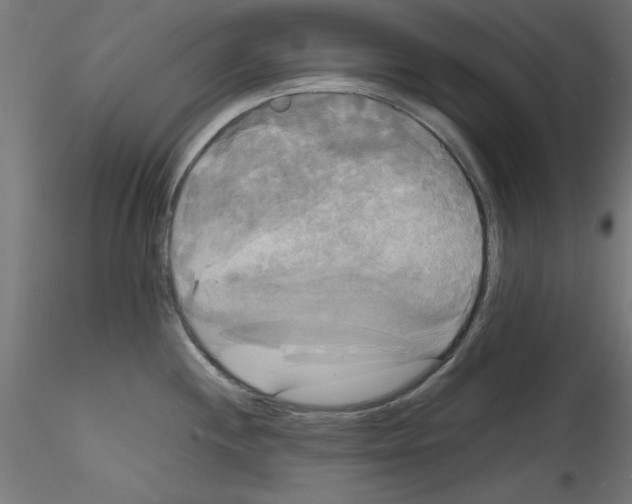X0000114591244200911301352