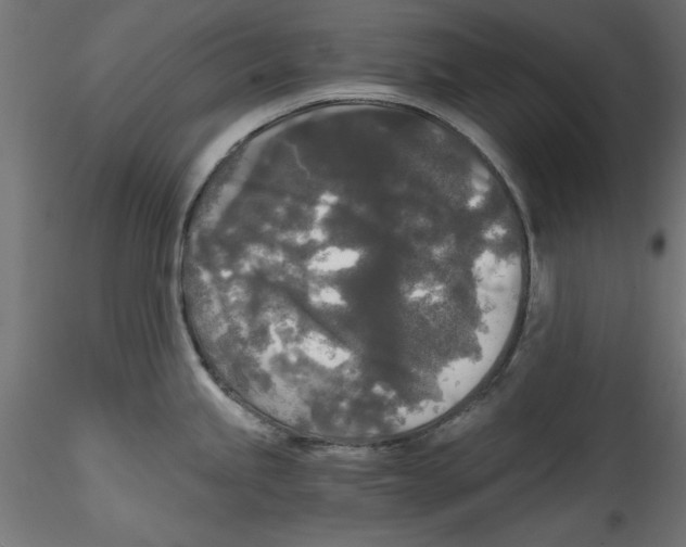 X0000114591245200911301352