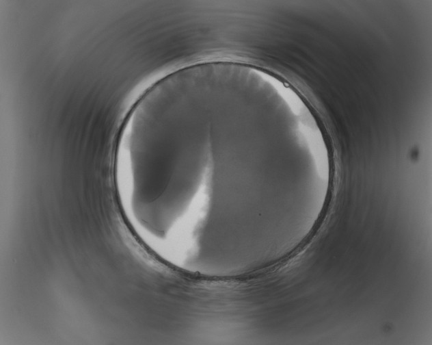 X0000114591246200911301352